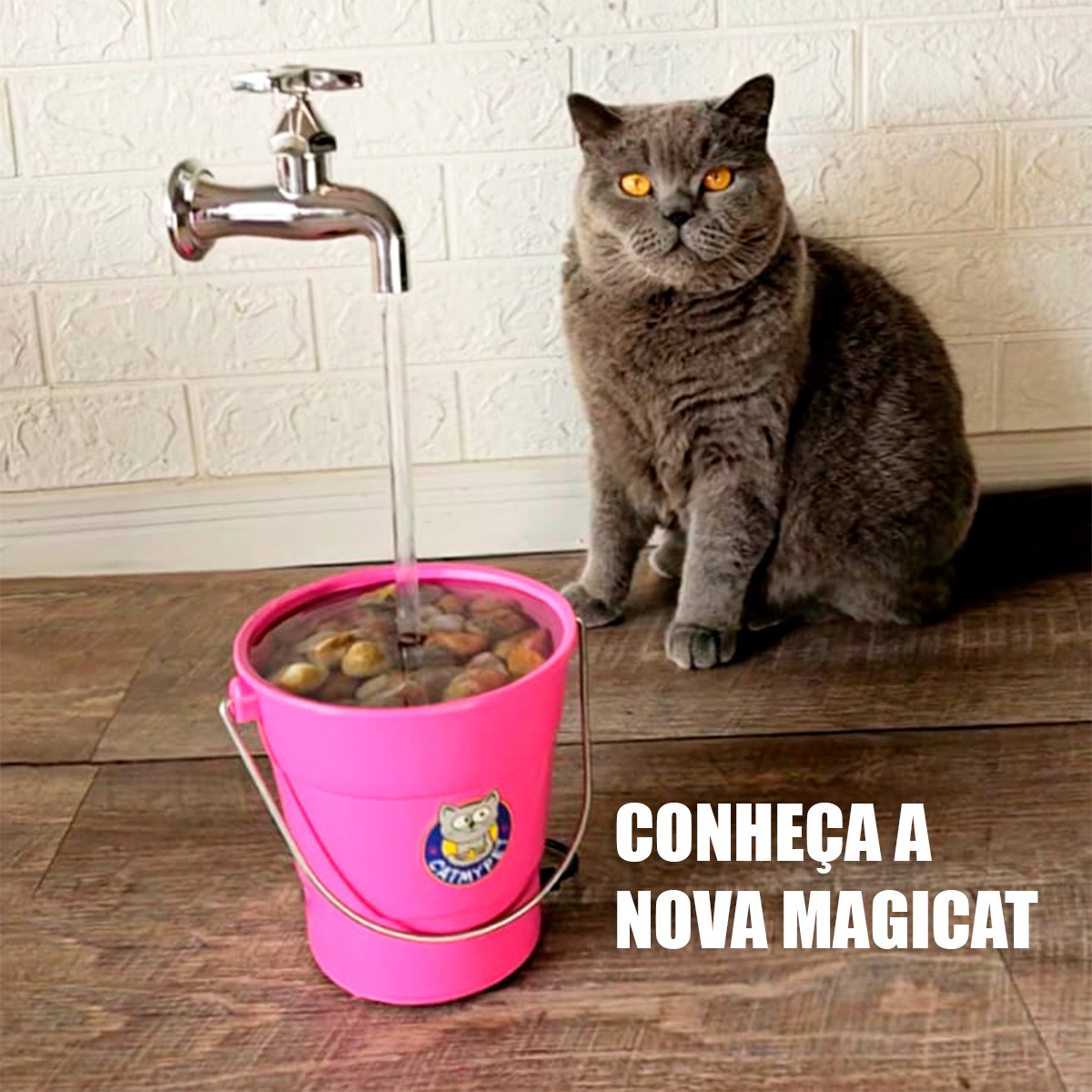 Fonte MagiCat para gatos